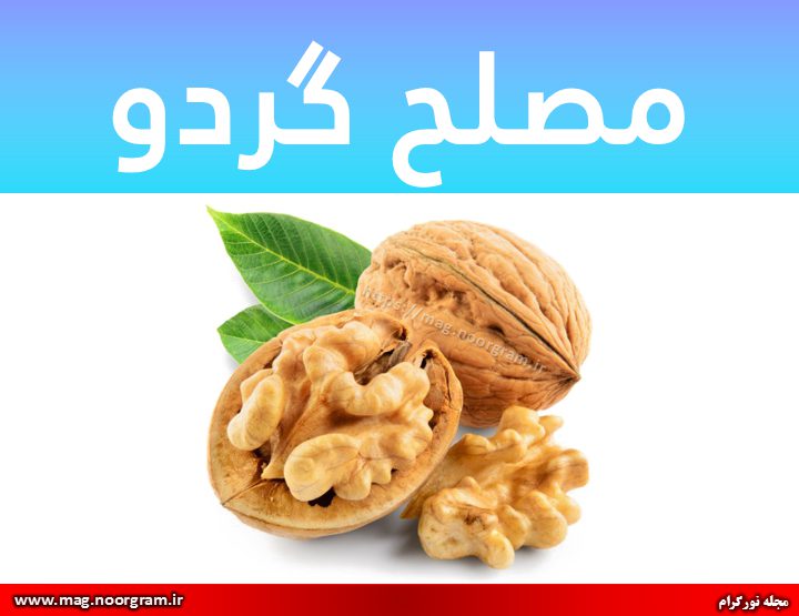 مصلح گردو