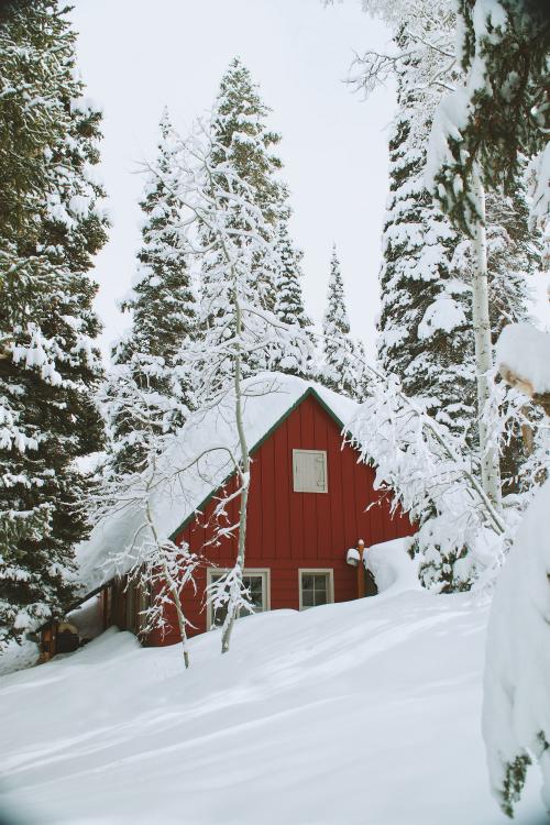 تصویر زمینه زمستان برای گوشی