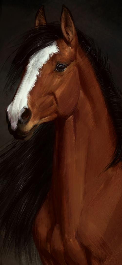 تصویر زمینه نقاشی اسب