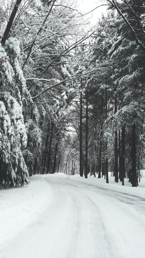 عکس تصویر زمینه زمستان برفی