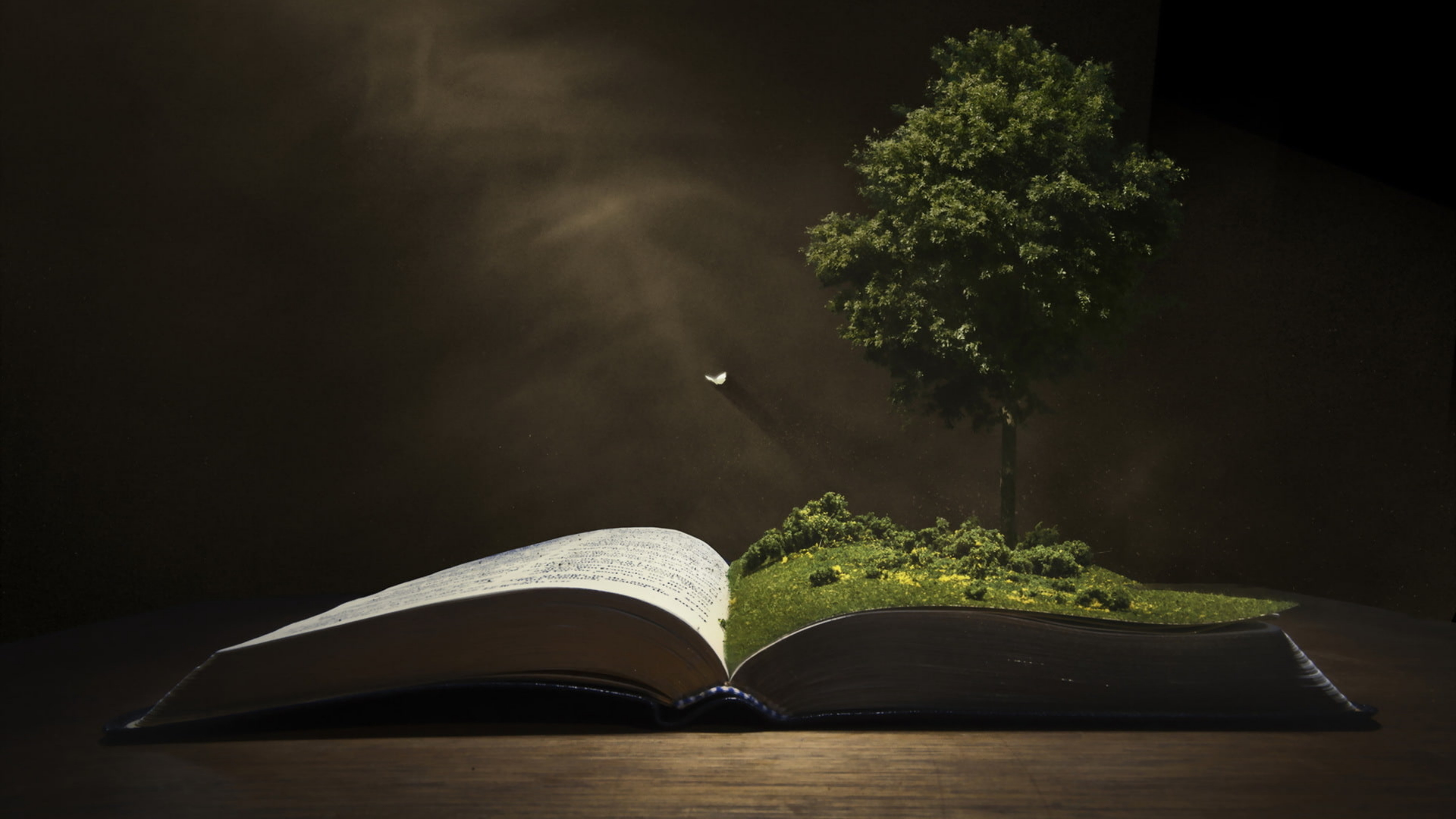 Мудрый фон. Книги на темном фоне. Книга природа. Дерево с книгами. Дерево с книжками.