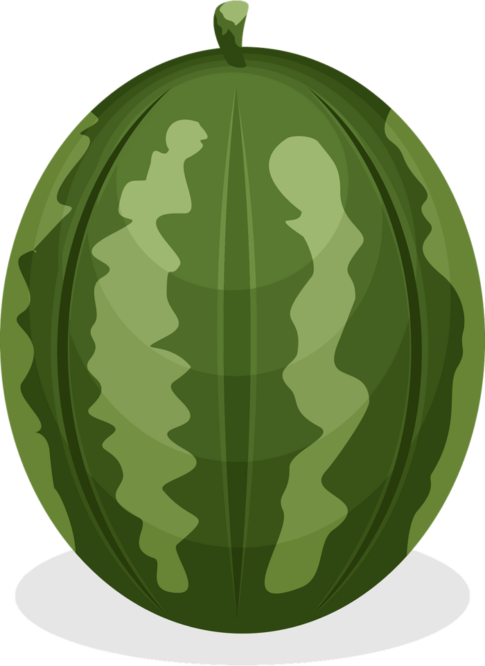 هندوانه (4).png