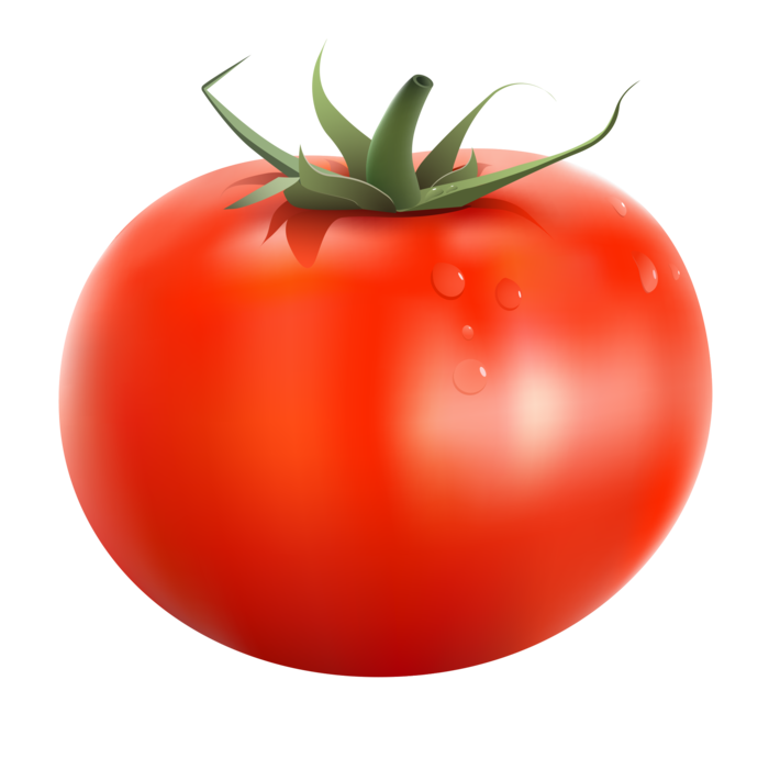 وکتور گوجه (1).png