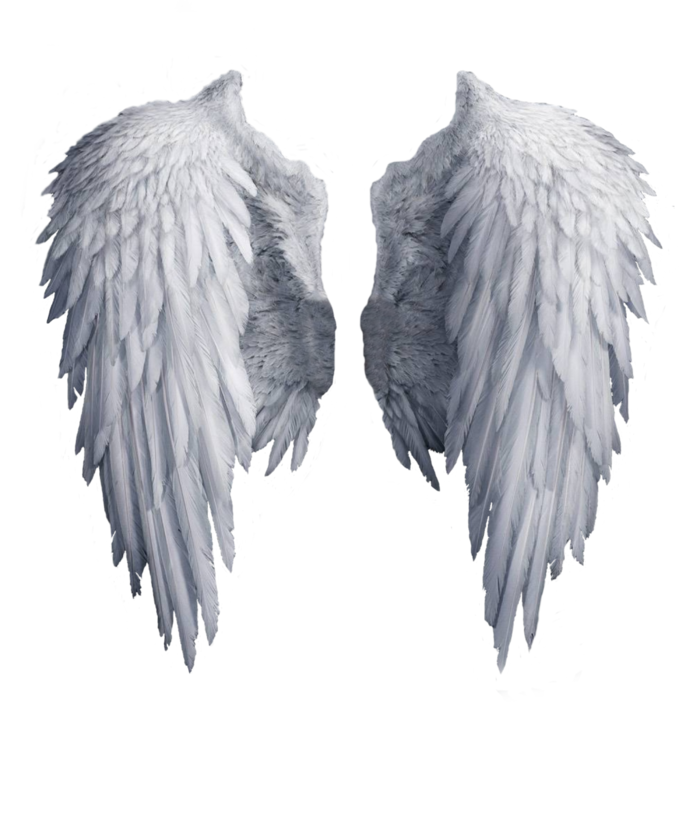 وکتور بال فرشته (2).png