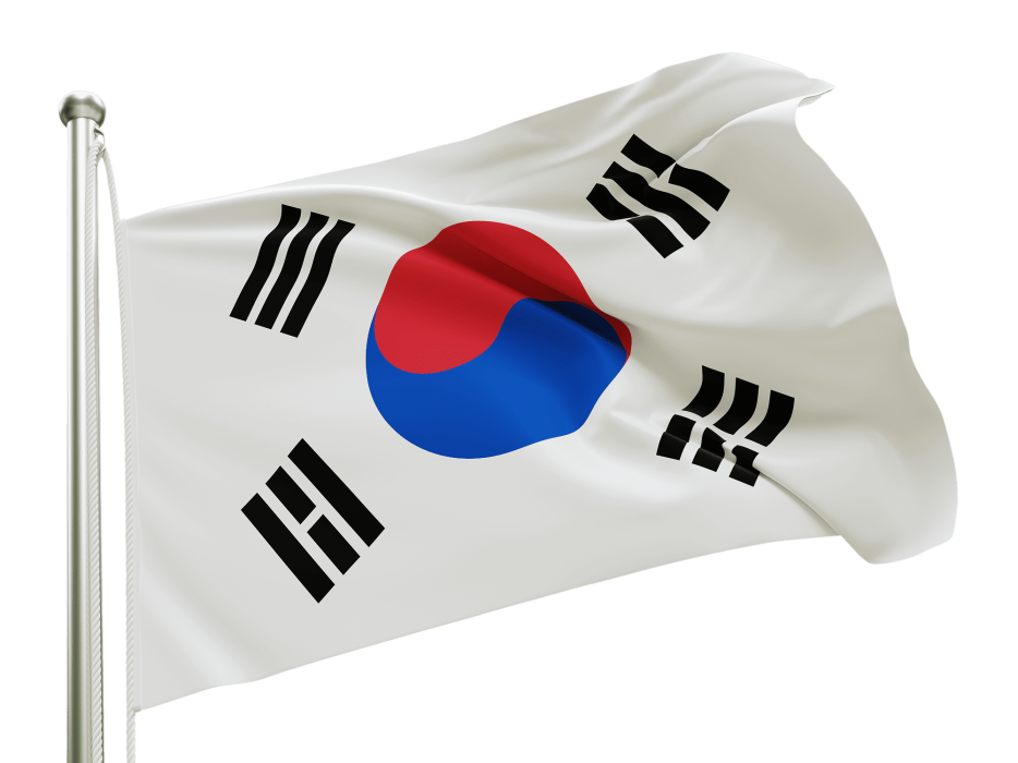 عکس پرچم کره جنوبی.png