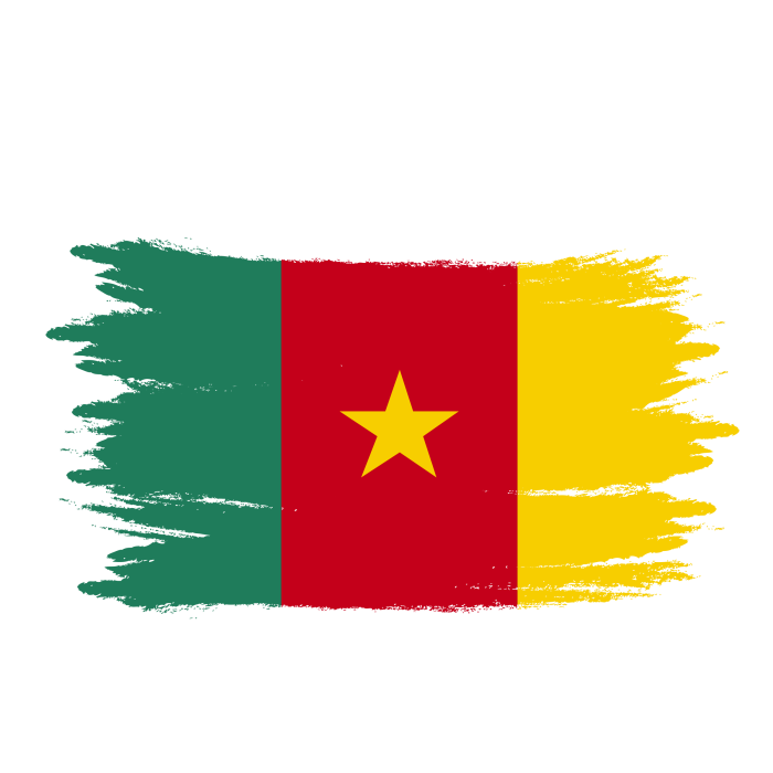 پرچم کامرون (2).png